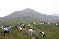 東芝(中國(guó))2007年度公益植樹(shù)助學(xué)活動(dòng)