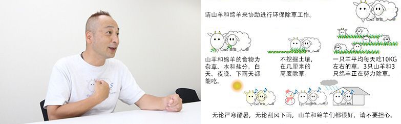 為了加深大家對(duì)“山羊和綿羊除草”的理解，制作Ｔ恤衫和看板。