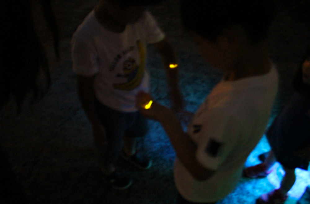 螢火蟲觀賞大會的情景